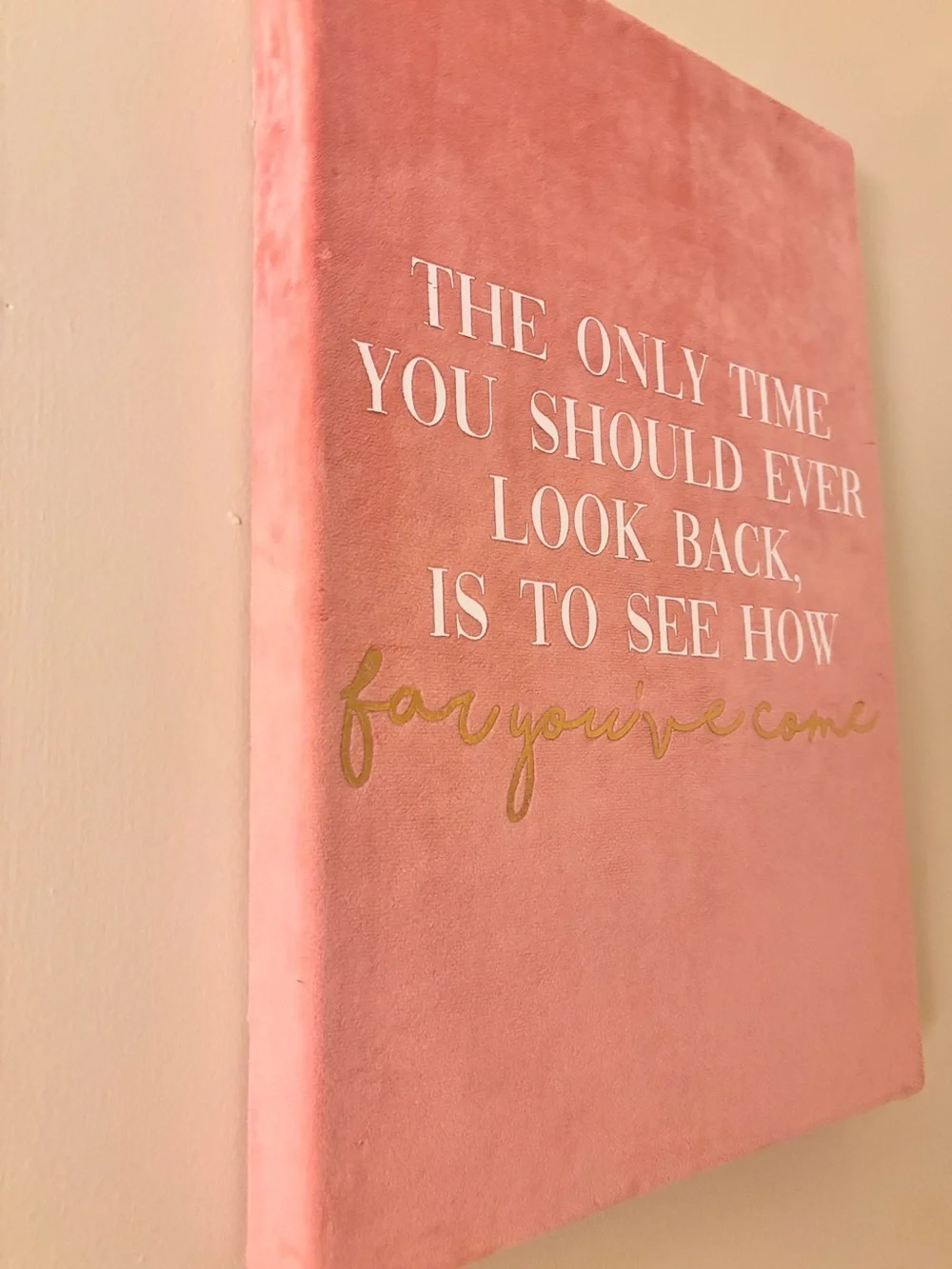 Pink Inspirational Wall Art Canvas with Gold Script